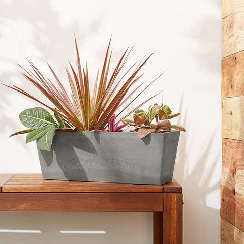 Arcadia PSW Simplicity Window Box indoors as a stylish display container.