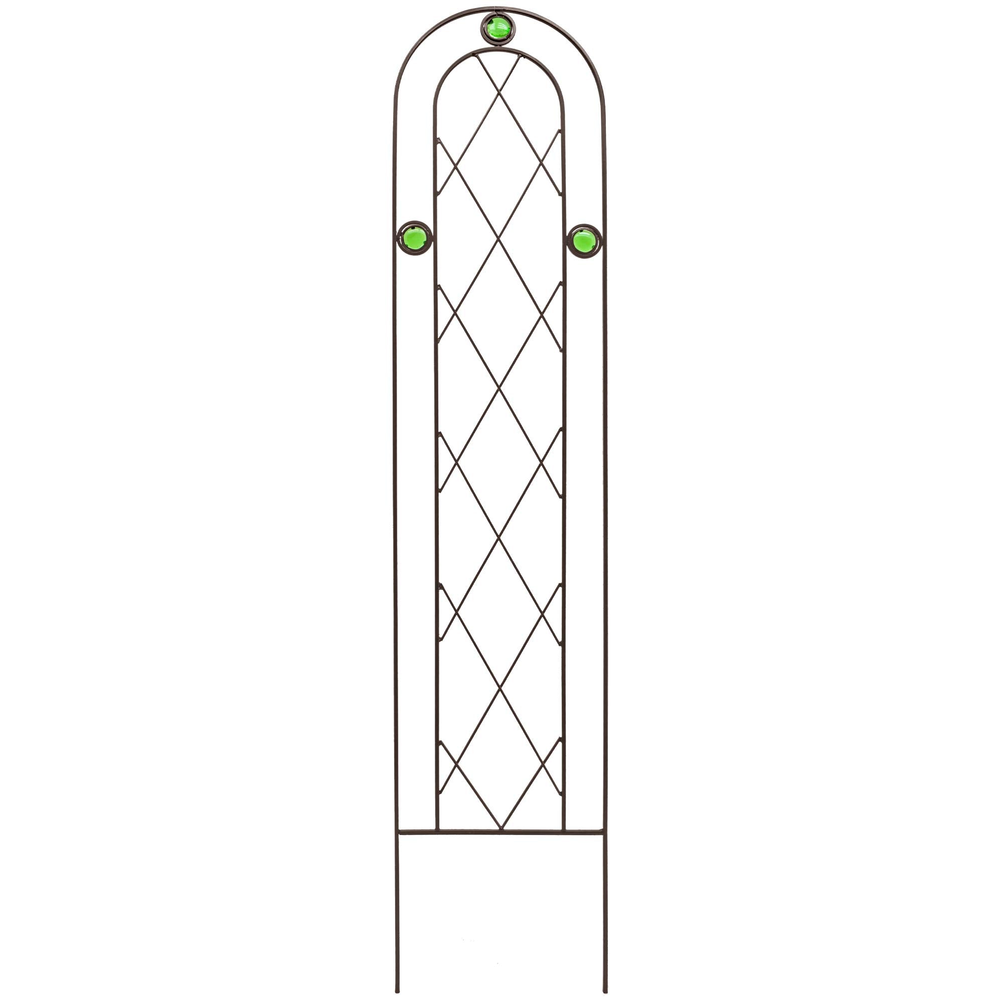 Arcadia TR01 arched trellis in black supports climbing plants beautifully