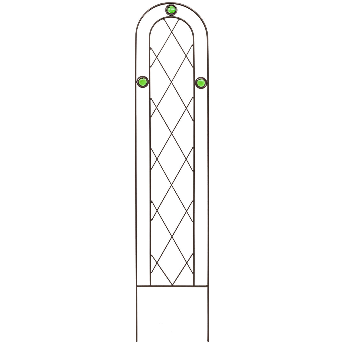 Arcadia TR01 arched trellis in black supports climbing plants beautifully