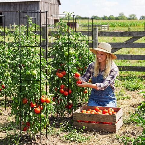ArdeFentium rust-resistant galvanized steel promises long-lasting garden support