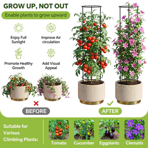ArdeFentium stackable 60-inch height grows with cucumbers and beans