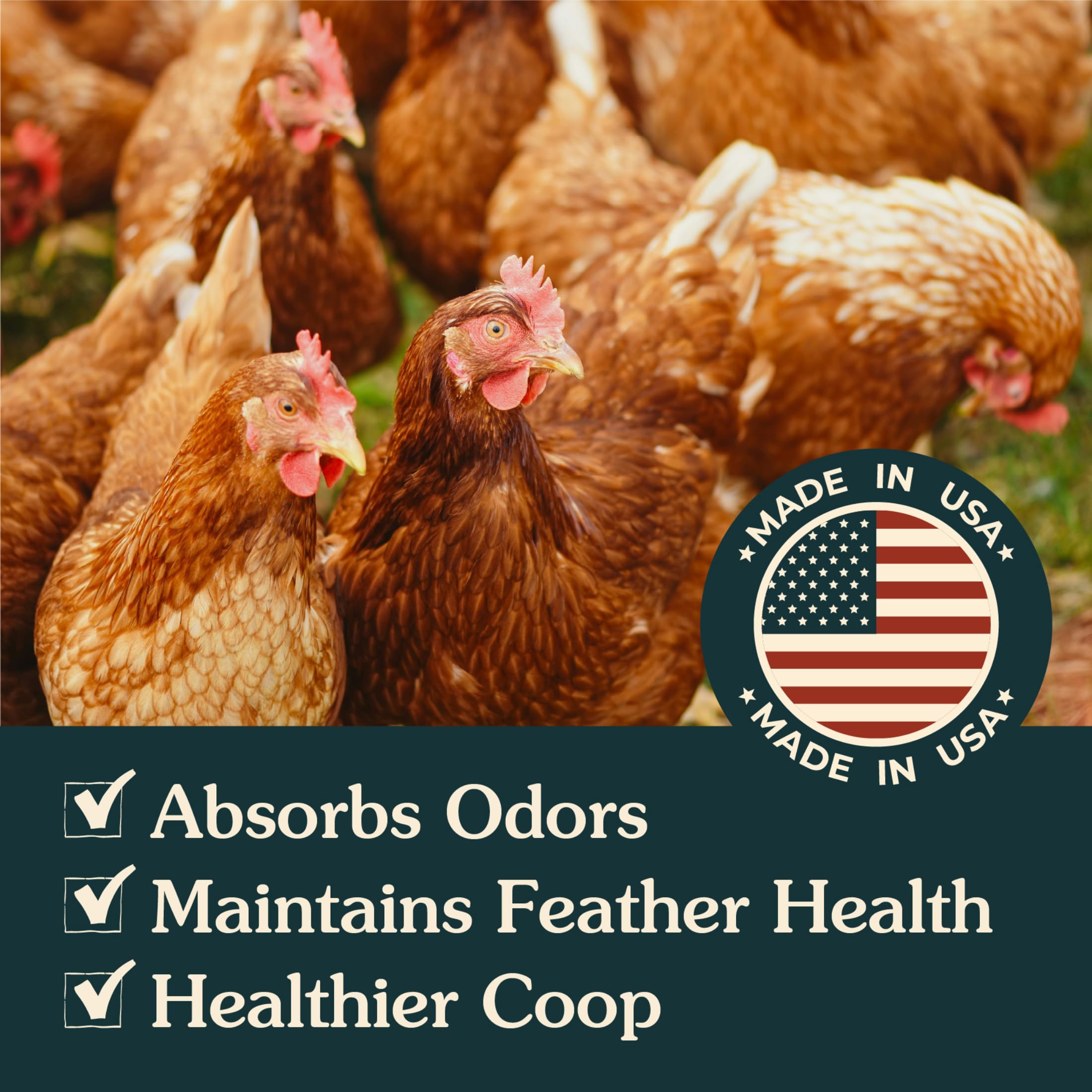 ARDEN LINE Zeolite dust bath close-up shows pure texture for feather cleaning.