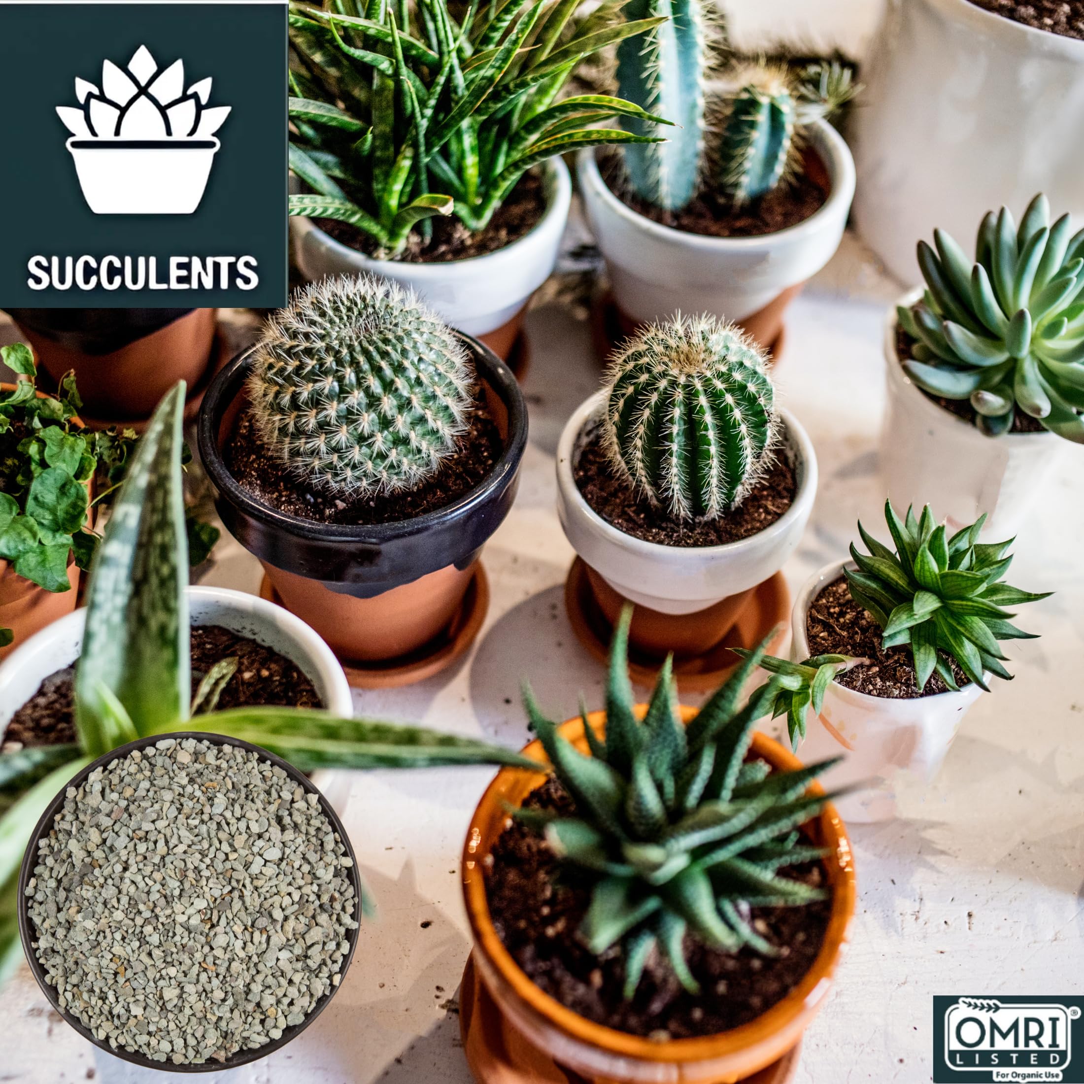 ARDEN LINE Zeolite Rocks bonsai soil mix promotes healthy root oxygenation.