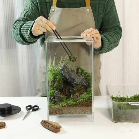 AREPK terrarium layout suitable for mini landscapes and fish