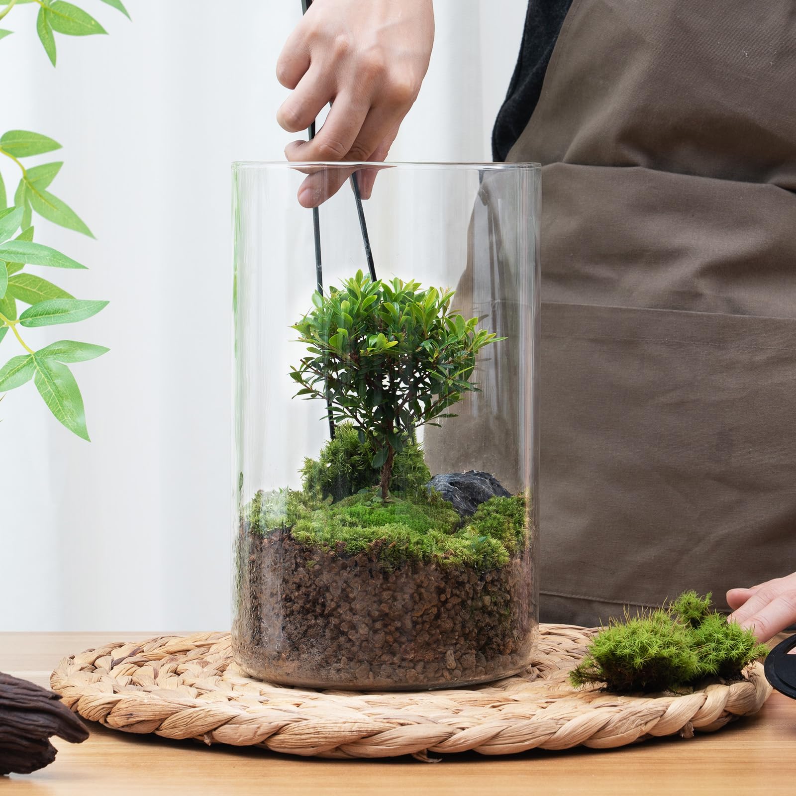 AREPK desktop glass bottle makes a thoughtful gift for plant lovers