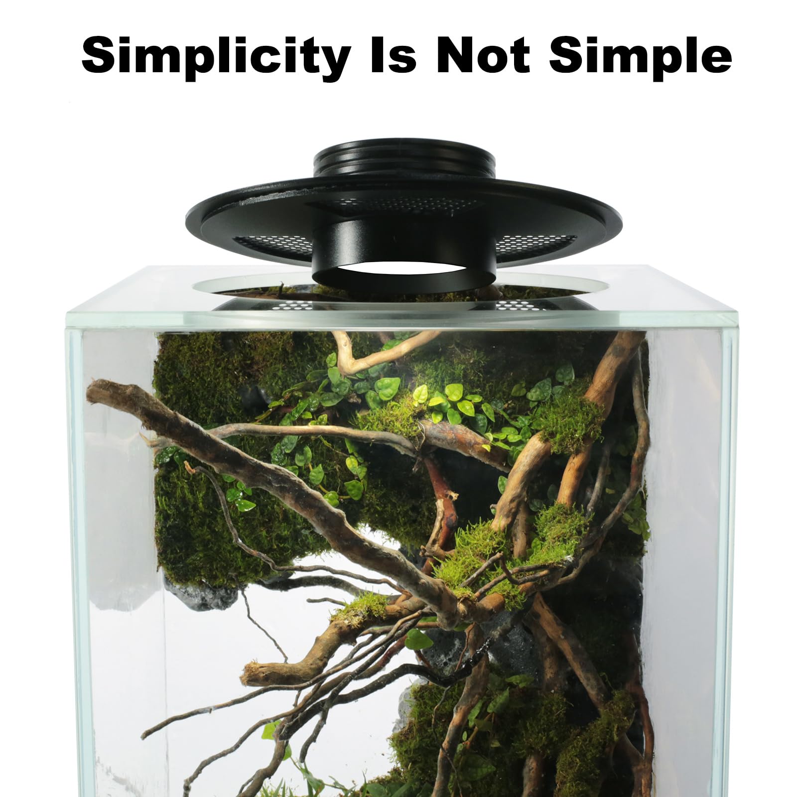AREPK terrarium features hollow bottom for floating decor effect
