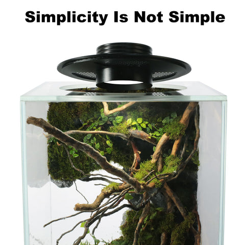 AREPK terrarium features hollow bottom for floating decor effect