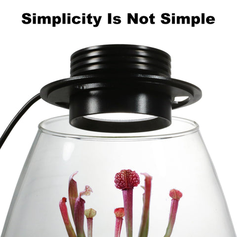 AREPK glass bottle aquarium setup for miniature landscapes and betta habitats.