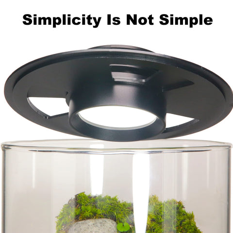 AREPK high borosilicate glass terrarium offers clear, durable viewing