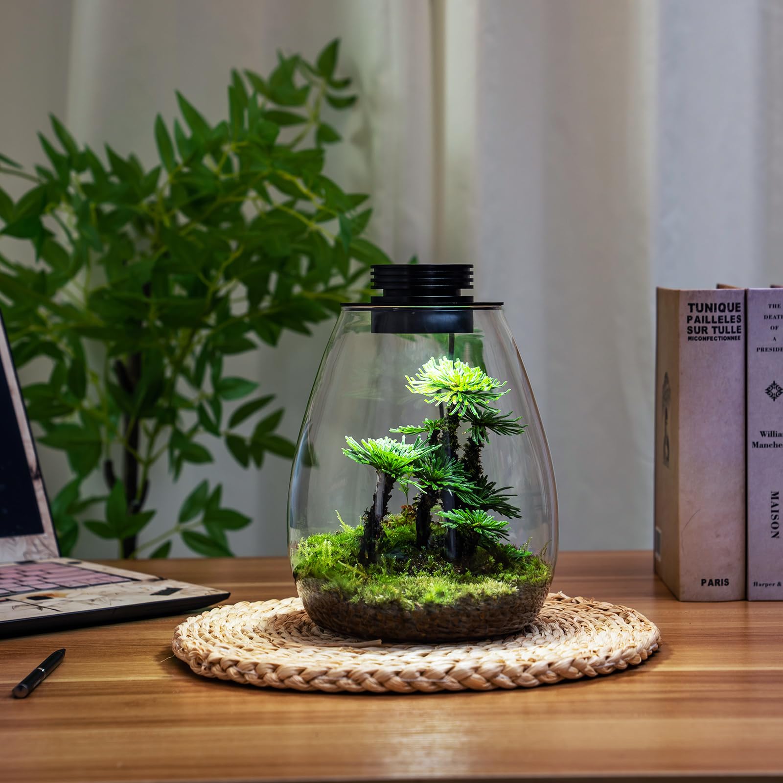 AREPK indoor plant growth setup with integrated LED light for compact spaces.