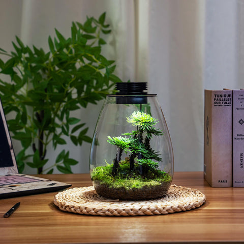 AREPK indoor plant growth setup with integrated LED light for compact spaces.