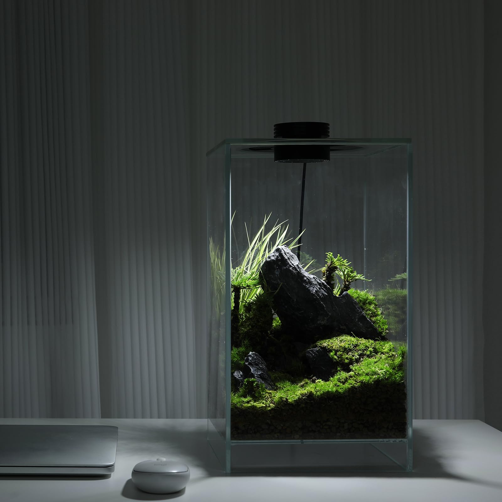 AREPK LED grow light on desk terrarium for healthy small plants