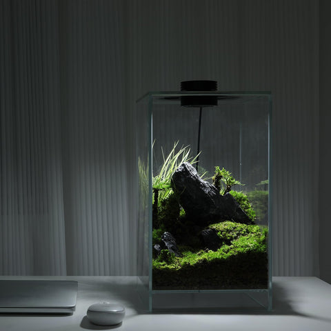 AREPK LED grow light on desk terrarium for healthy small plants