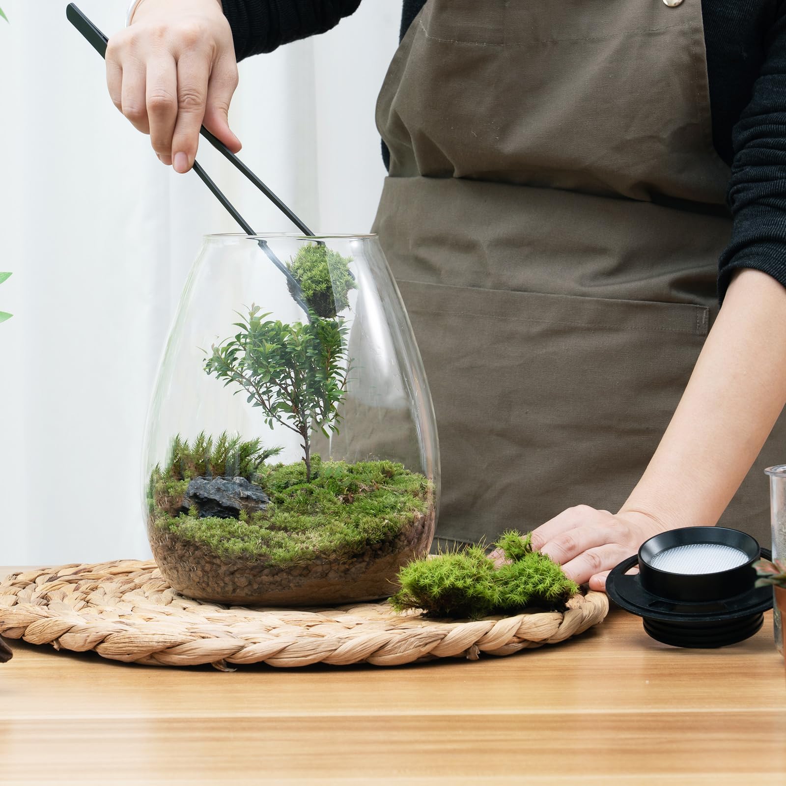 AREPK office decoration glass cylinder offers versatile décor and humidity-friendly microhabitat.