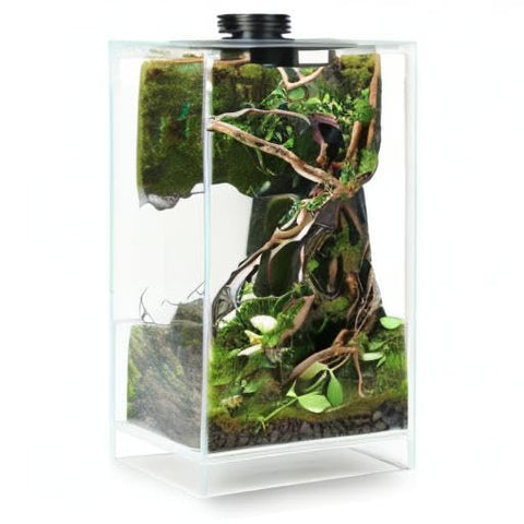 AREPK rotating base adds dynamic decor to desk setup