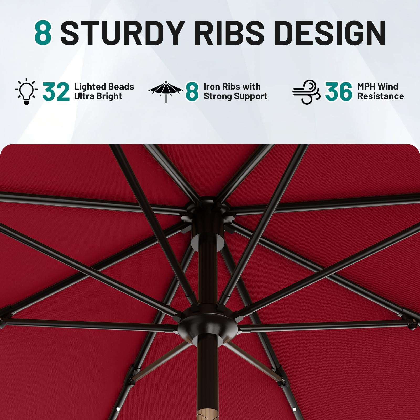 AreShark detachable pole and crank lift for easy setup.