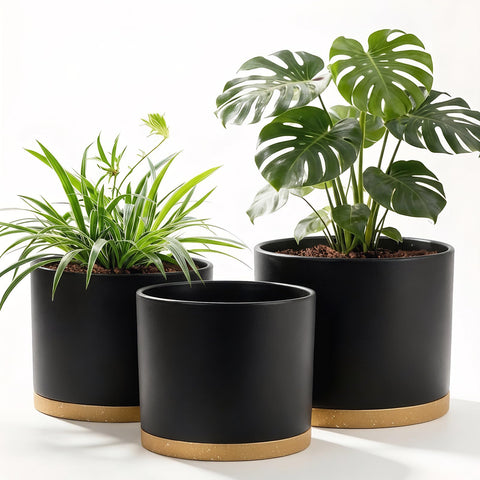 Areutxbis 10-inch plant pot with drainage holes for healthy roots