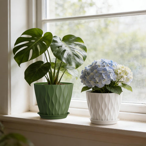Areutxbis 8-inch pot available in multicolor options for decor