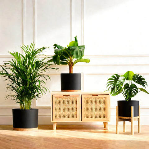 Areutxbis 9-inch plant pot with drainage for mid-size plants