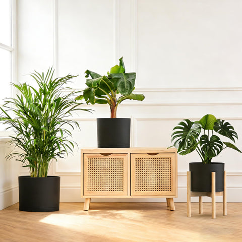 Areutxbis 9 inch pot features a sleek matte black finish for versatile indoor use.