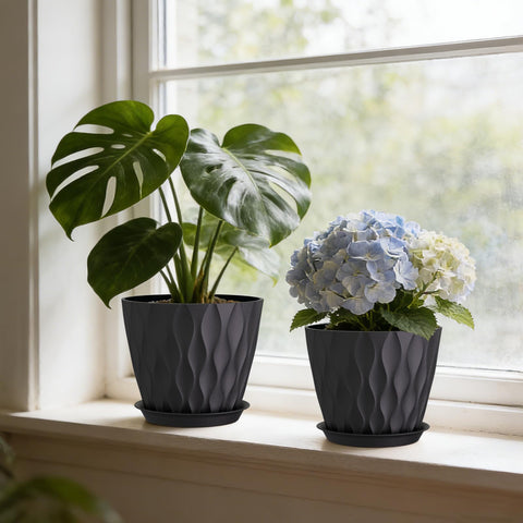 Areutxbis black minimalist planter complements contemporary decor