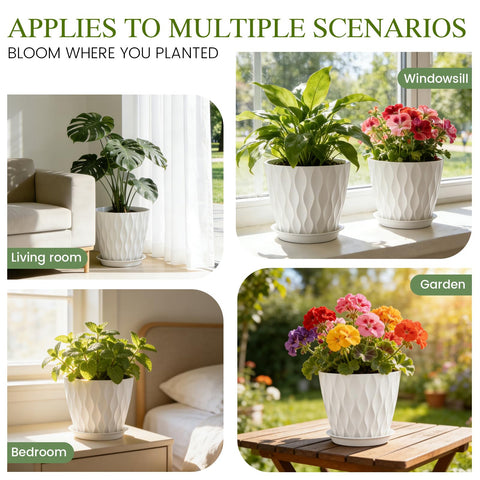 Areutxbis gift-ready plant pot set for plant lovers
