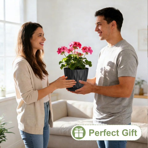 Areutxbis ideal for snake plants, pothos, and herbs