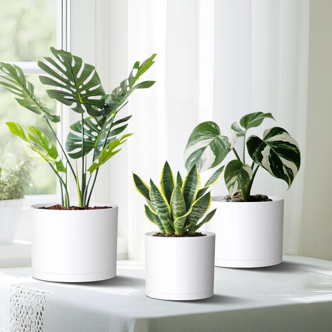 Areutxbis indoor garden setup using three-size planter system in white.