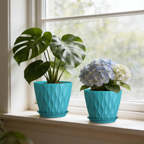 Areutxbis pot on shelf with succulents demonstrates versatile use.