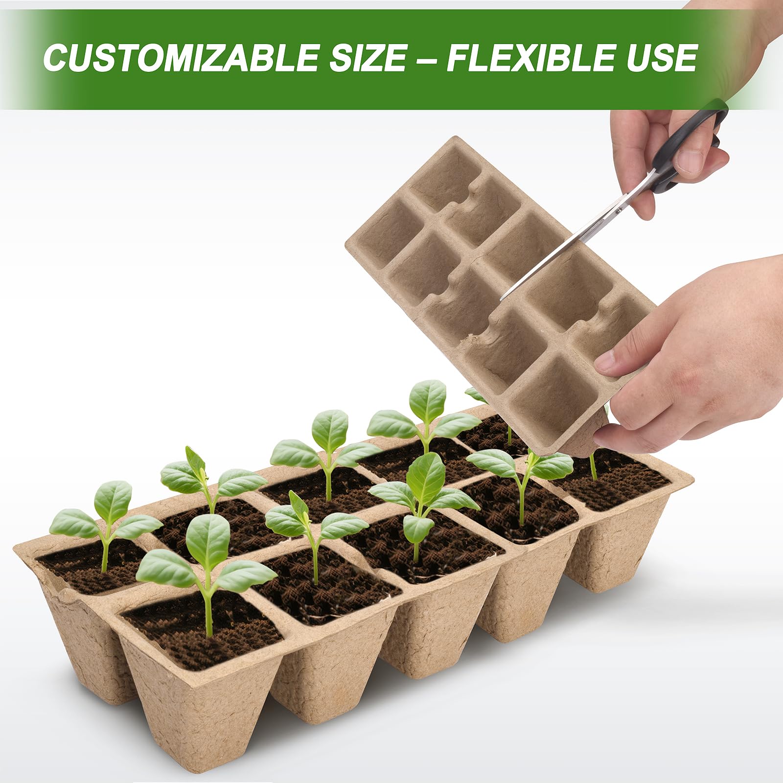 ARGCONNER easy transfer pots for minimal root disturbance during transplant