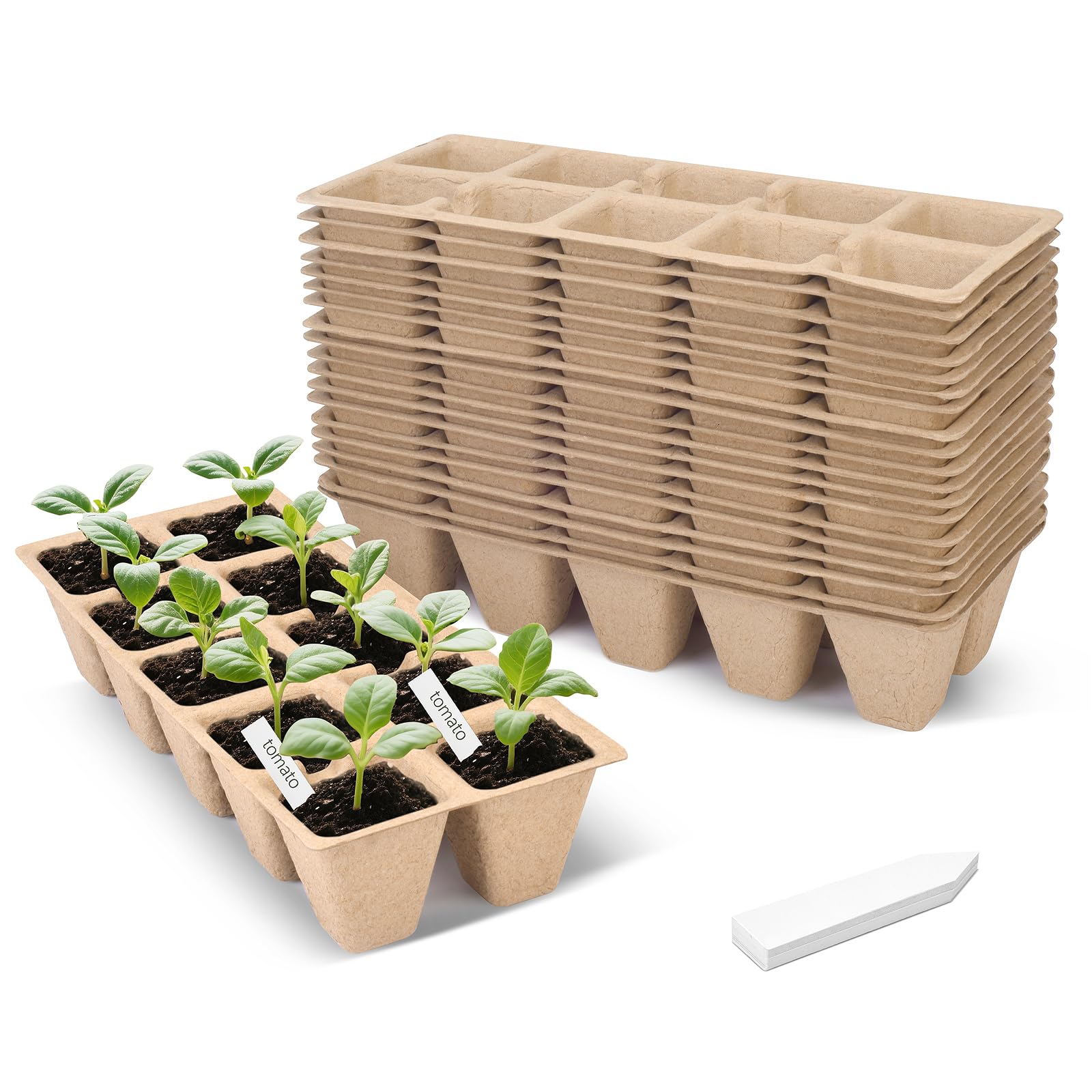 ARGCONNER 20 cell peat pots tray for indoor seed starting and transplant ease