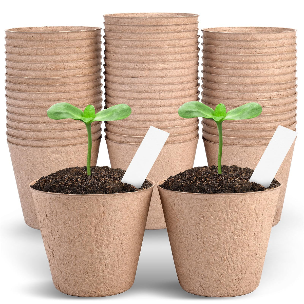 ARGCONNER 4 inch peat pots with labels for easy seed starting.