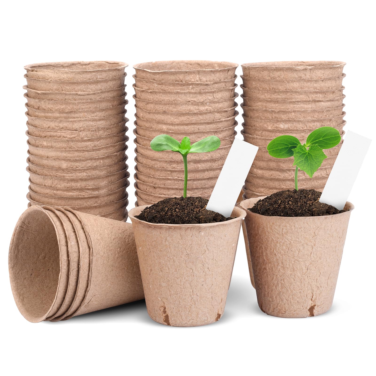 ARGCONNER peat pots for seedlings with 3.15 inch diameter promote healthy root growth
