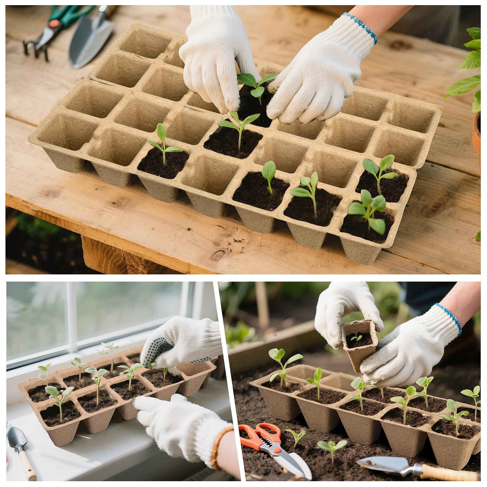 ARGCONNER plant labels 20 pcs for seed variety tracking