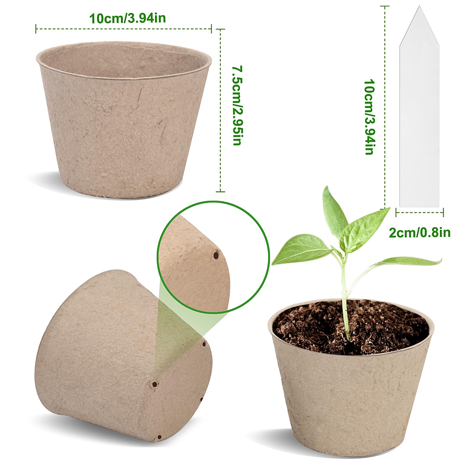 ARGCONNER 30 plant labels included for seed tracking and organization