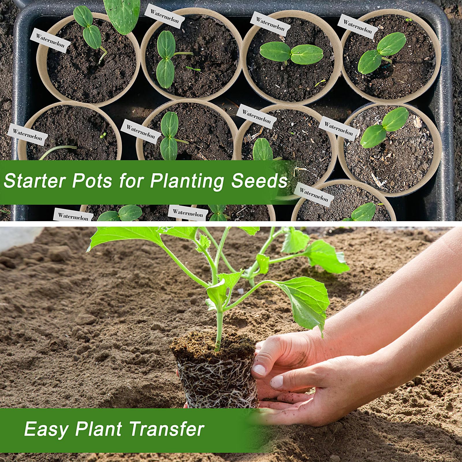 ARGCONNER biodegradable pulp paper pots designed for easy transplanting