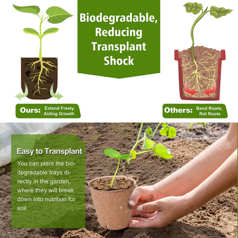 ARGCONNER seed labels help you track each variety indoors or outdoors