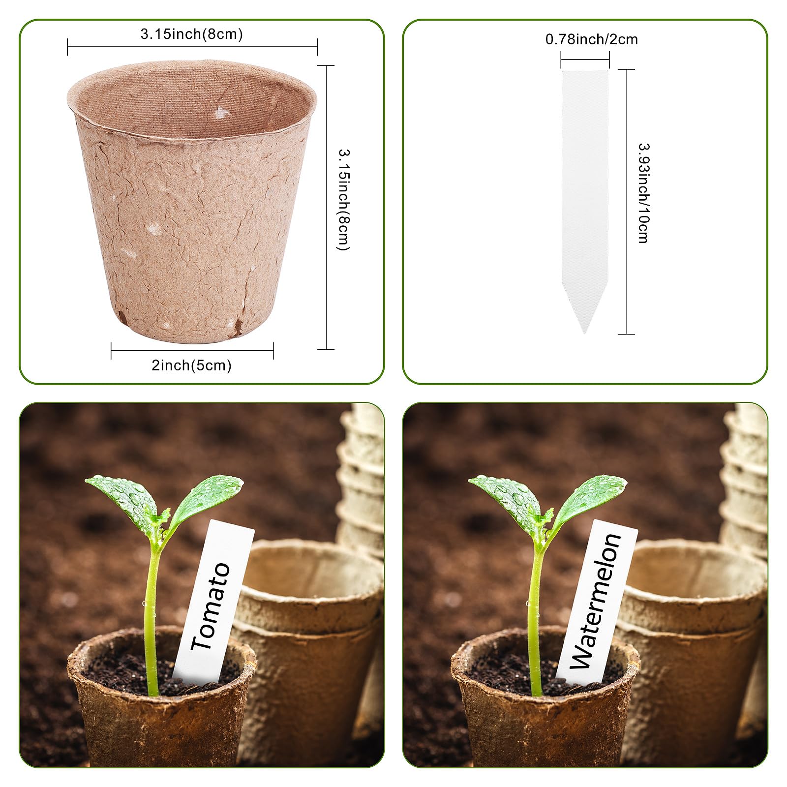 ARGCONNER seed starter kit suits vegetables, fruits, flowers, and herbs