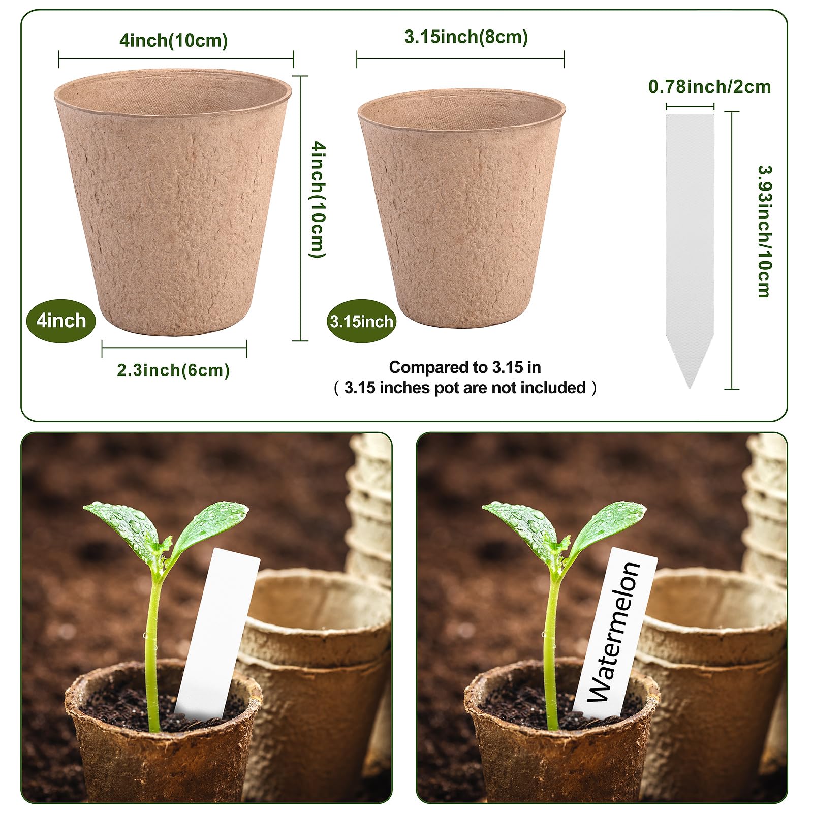 ARGCONNER transplant-ready peat pots enabling smooth soil transfer.