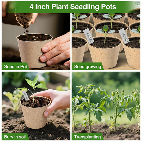ARGCONNER versatile seed starter pots suitable for vegetables, herbs, and flowers
