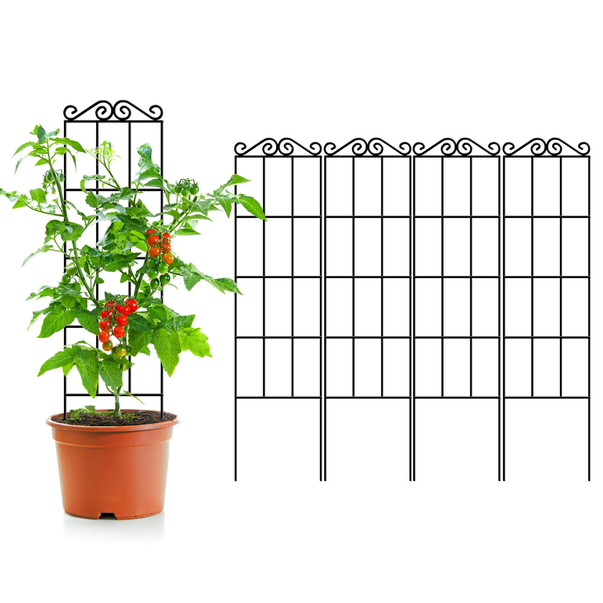 ARIFARO 47-inch garden trellis supports climbing plants outdoors, helps maximize vertical space.
