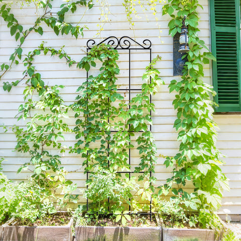 ARIFARO black modern trellis adds chic contrast to garden or patio