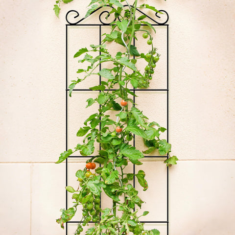 ARIFARO easy setup lets you install and adjust trellises quickly.
