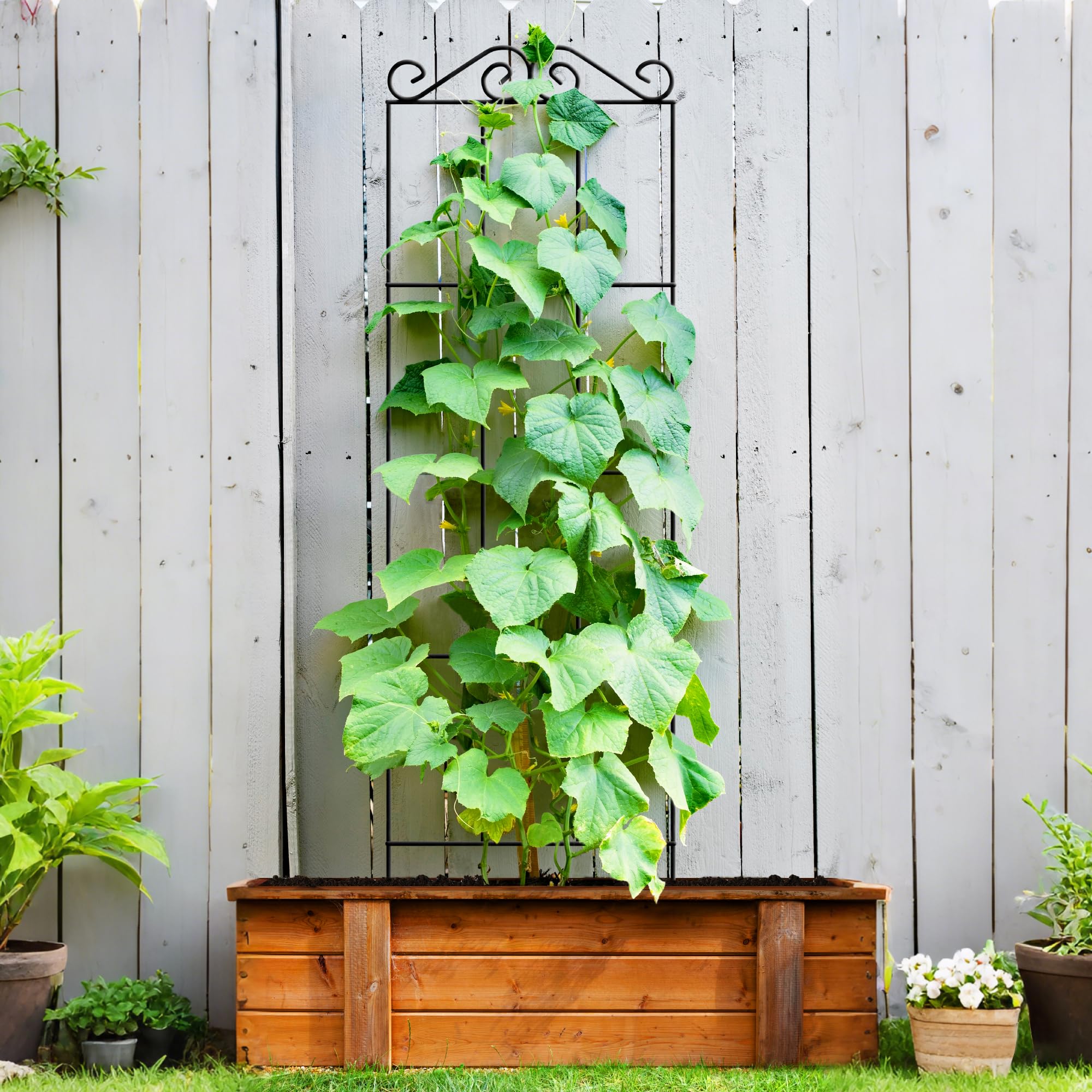 ARIFARO trellis supporting climbing vines and roses in garden