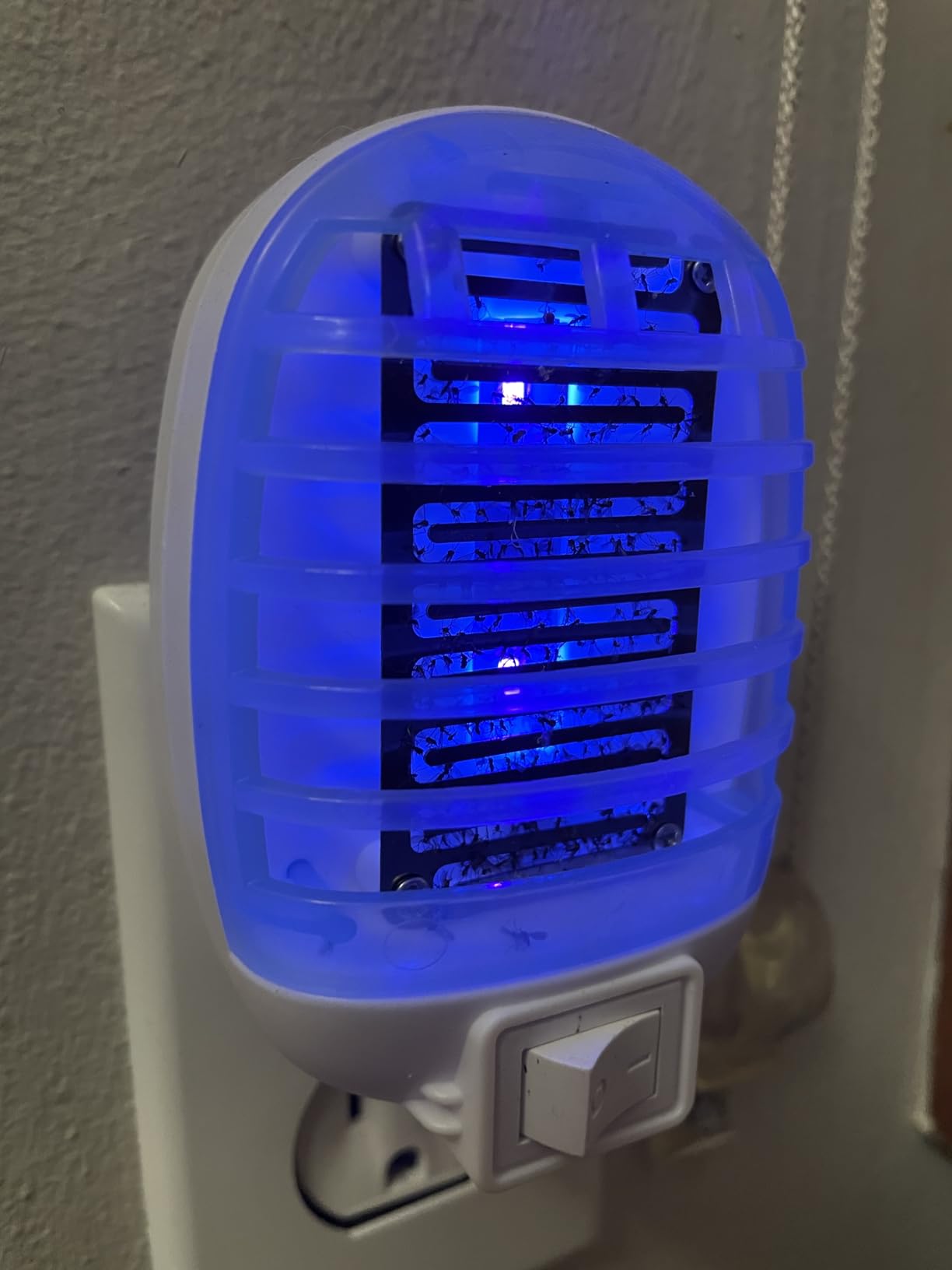 Ariie Bug Zapper Indoor glowing light demonstrates pest attraction in dark rooms.