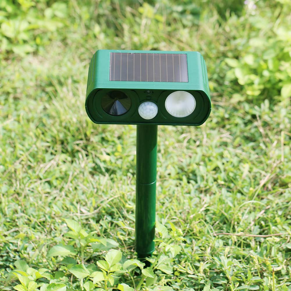 Ariie ground spike allows easy in-ground installation under direct sun.