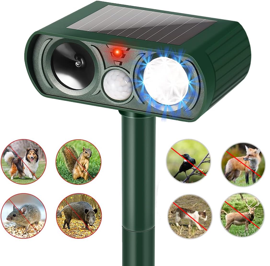 Ariie PIR motion sensor activates ultrasonic output to protect your garden.