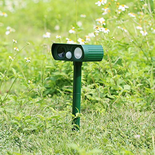 Ariie wall-mount slot option offers flexible placement in sunlight.