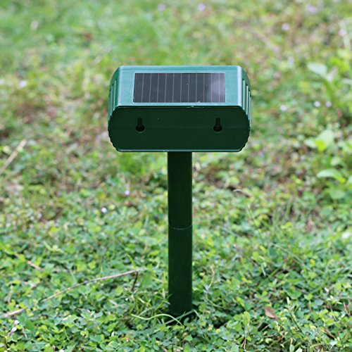 Ariie weatherproof outdoor unit withstands rain, dust, and heat.