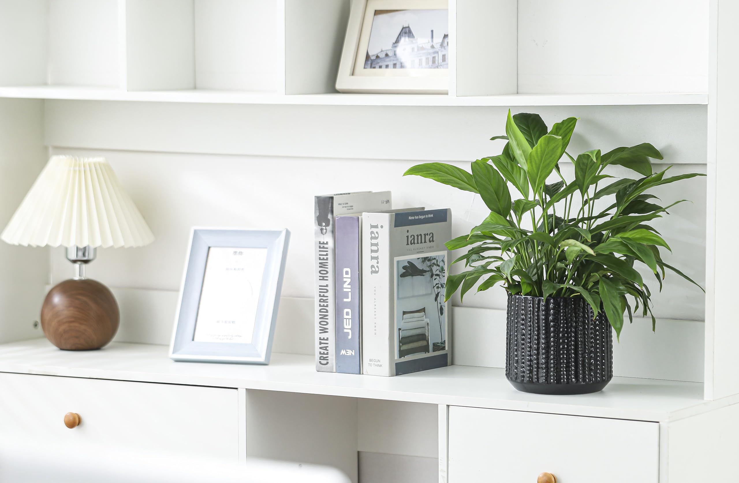 Arktiva planter ideal for desks and windowsills to display small plants